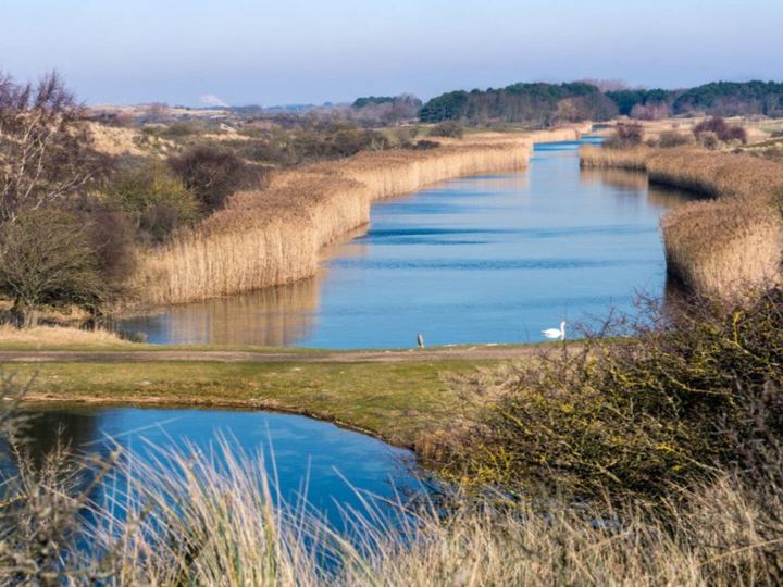 Waterleidingduinen